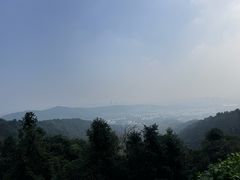 -旺山景区