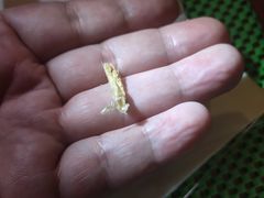 -老成都采耳馆(梁溪区店)