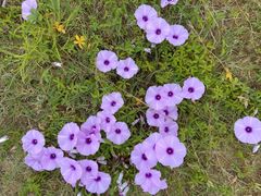 -东山湖温泉度假村