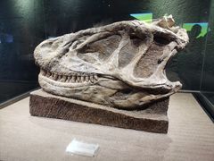 -自贡恐龙博物馆