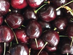 -红星农博物流中心