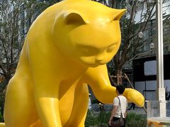 -深圳湾万象城(南山店)