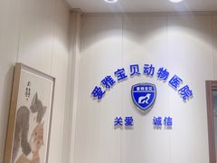 -中农大我爱我爱24h动物医院·中医针灸·猫专科·骨科医疗中心(双井店)