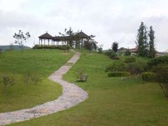 金孔雀温泉旅游度假村-金孔雀温泉旅游度假村