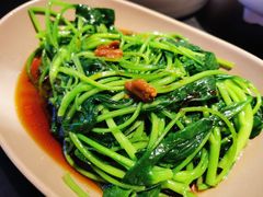 -MR鹅外
