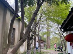 -西溪国家湿地公园