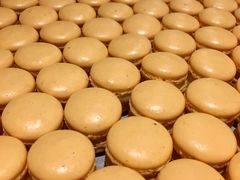 -Le Bernardin