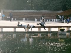 -环城公园-琥珀潭