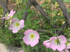 -贵阳市花溪国家城市湿地公园