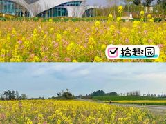 -三圣花乡旅游区