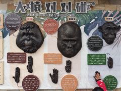-成都动物园