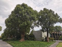 -养云安缦吧THE BAR