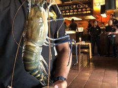 -Ministry of Crab(科伦坡店)