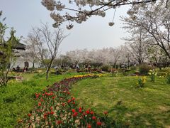-苏州上方山国家森林公园