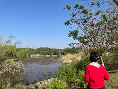 -西昌邛海湿地