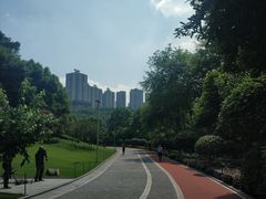 -龙头寺公园