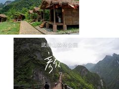 -武陵山森林公园