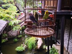 -鱼桥巷·美学川菜