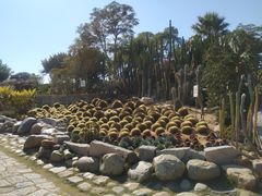 -胡里山炮台