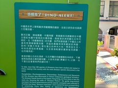 -九龙公园