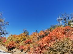 -北京西山国家森林公园