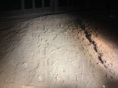 -世界恐龙谷景区