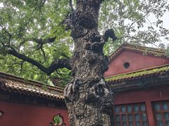-昆明市金殿名胜区