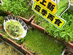 -赵美丽·重庆社区火锅·直营店(火车东站·中豪国际店)