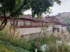 -重庆彩云湖湿地公园