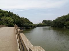 -李小龙乐园(顺德均安店)