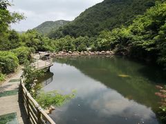 -东海大峡谷