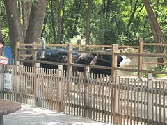 -秦皇岛野生动物园