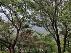 -石岛赤山风景区