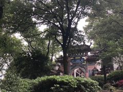 -大岭沟猕猴桃谷风景区