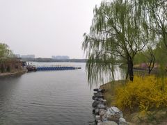 -大兴滨河森林公园