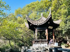 -杭州半山国家森林公园