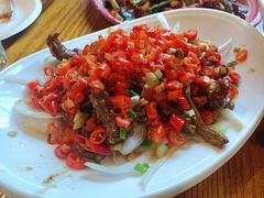 -柴窝堡22号辣子鸡·传承新疆菜