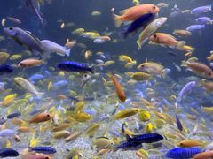 -成都浩海立方海洋公园