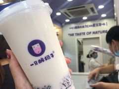 -一只酸奶牛(八一路店)