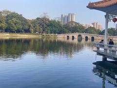 -荔湾湖公园