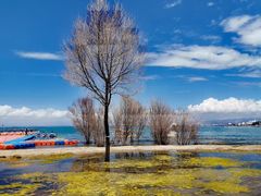 -青海湖国家重点风景名胜区