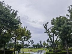-烟台金沙滩海滨公园