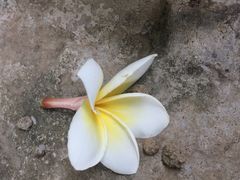 -南宁沃顿国际大酒店-自助餐厅