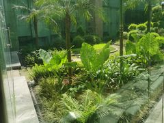 -重庆医科大学附属第一医院(金山院区)