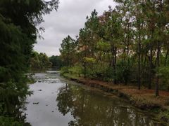 -上海海湾国家森林公园