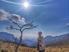 -秦岭风景区