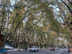 -也枫·小黄楼(南山路旗舰店)