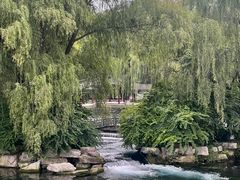 -百脉泉景区