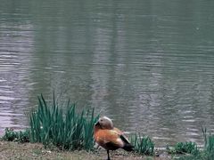 -河北省园博园