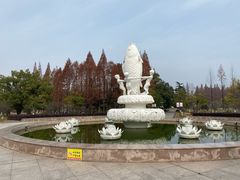-水杉园